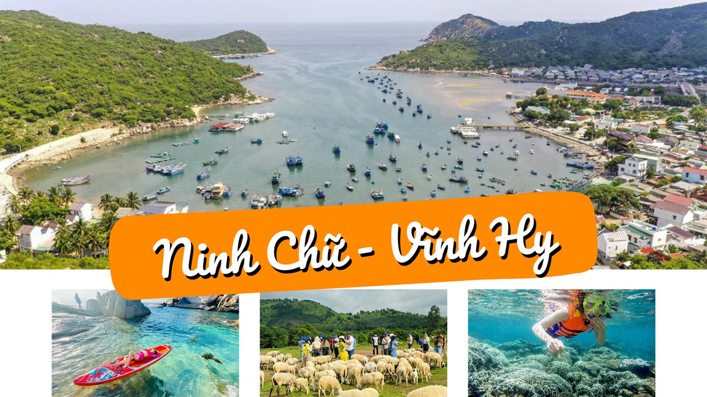 Ninh Chữ Vĩnh Hy